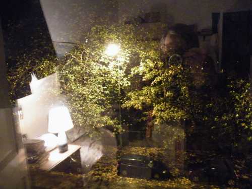 Night and Moods