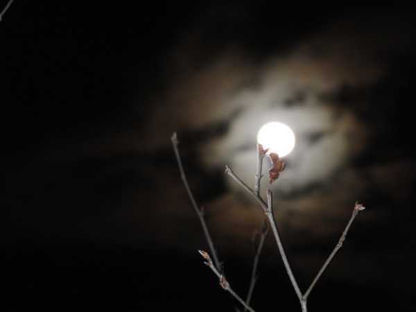 Night and Mood