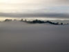 Skies