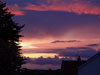Skies