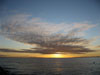Skies