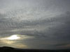 Skies