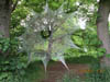Jupiter Artland