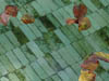Autumn Colour