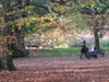 Autumn Colours
