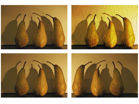 Still Life