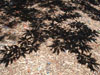 Repeating Patterns