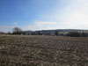 Landscapes