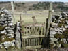 Decay and Aging