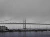 Seascapes