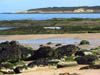Seascapes