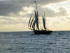 transport