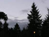 Low Light