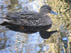 photography
