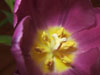 photography