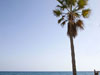 photography