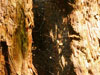 photography