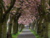 photography