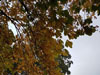 photography